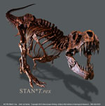 STAN® T.rex Youth T-shirt