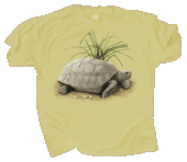 Tortoise Adult T-shirt