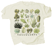 Succulents Adult T-shirt