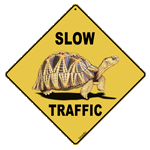 Slow Traffic (Tortoise) Crossing