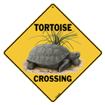 Tortoise Crossing