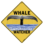 Whale Watcher Sign - DC