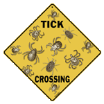 Tick Crossing - DC