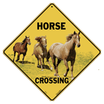 Horse Crossing 