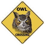 Owl Crossing