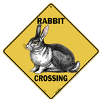 Rabbit Crossing
