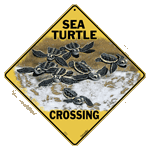 Sea Turtle Crossing