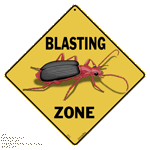 Beetle Blast Zone - DC