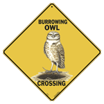Burrowing Owl Crossing